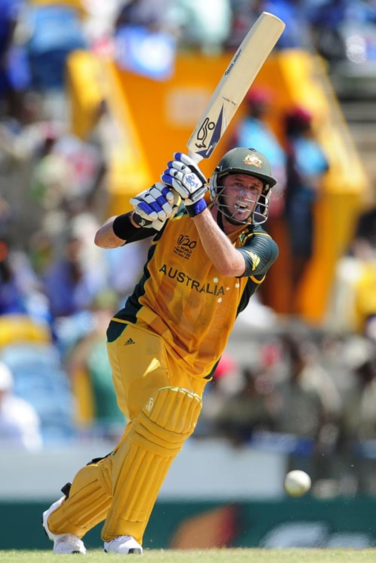 Michael Hussey plays the ball down the ground, Australia v Bangladesh, Group A, ICC World Twenty20, Barbados, May 5, 2010