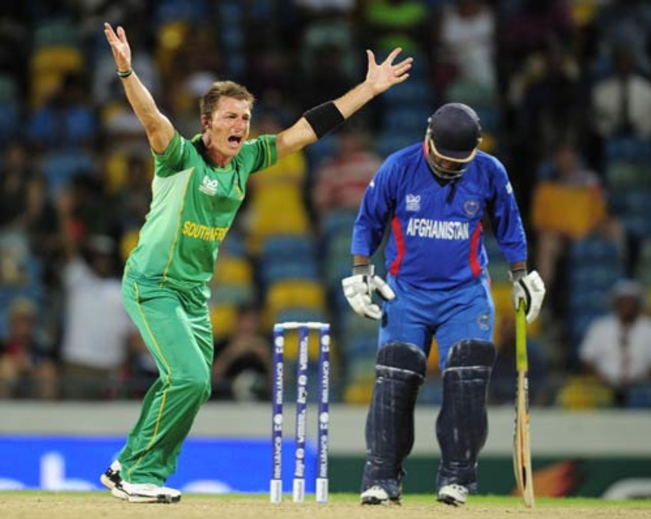 Dale Steyn appeals for the wicket of Mohammad Shahzad, Afghanistan v South Africa, ICC World Twenty20, Bridgetown, May 5, 2010