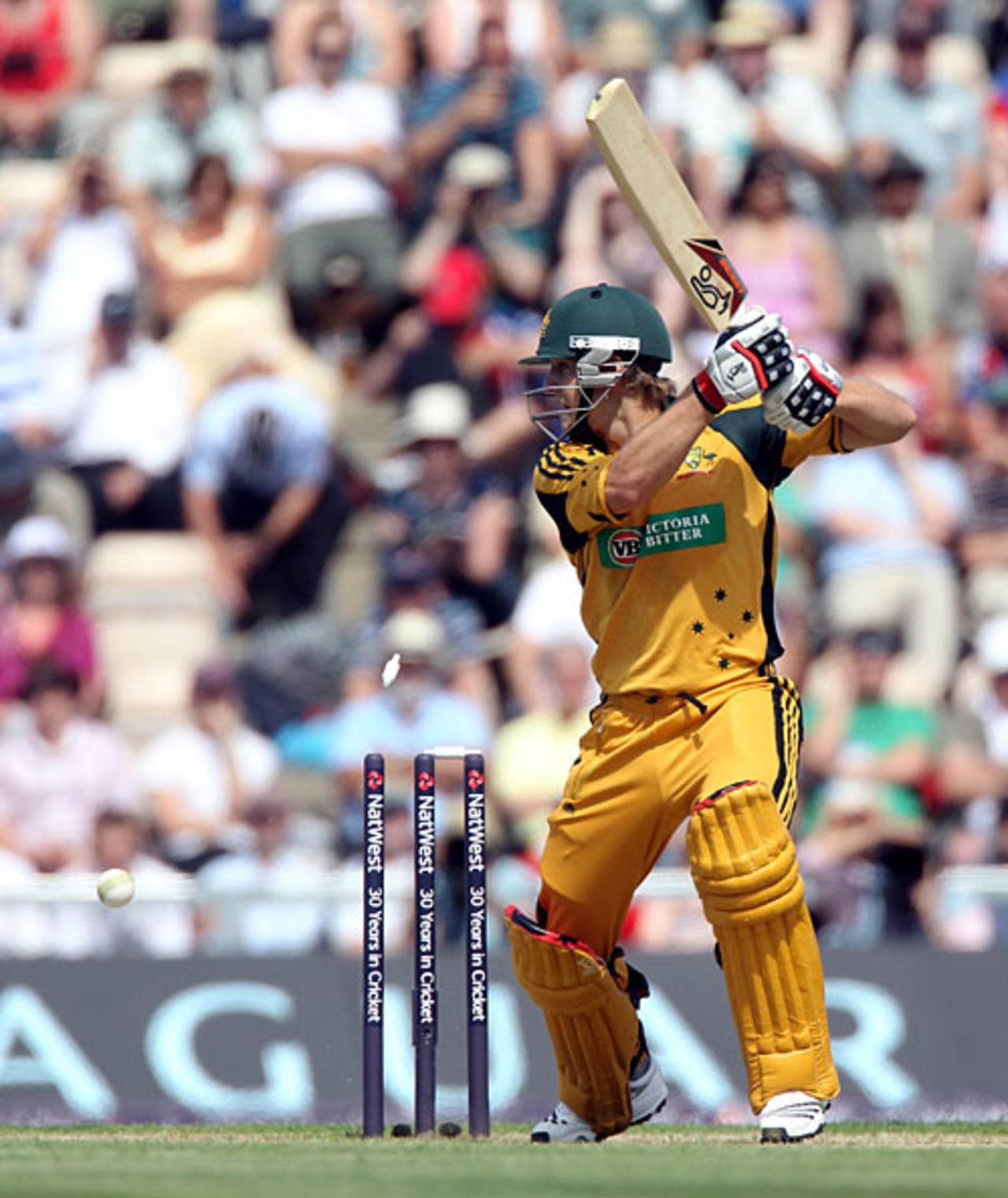 Tim Paine was out chopping Luke Wirght back on to his stumps, England v Australia, 1st ODI, Rose Bowl, June 22, 2010
