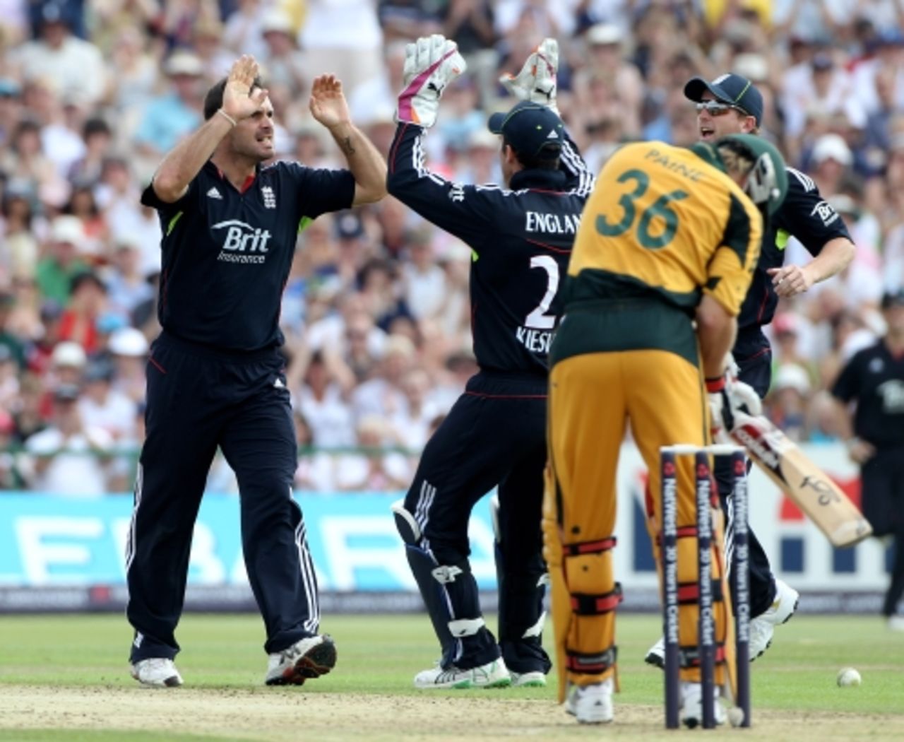 Tim Paine's promising knock was cut short by Michael Yardy, England v Australia, 3rd ODI, Old Trafford, June 27, 2010