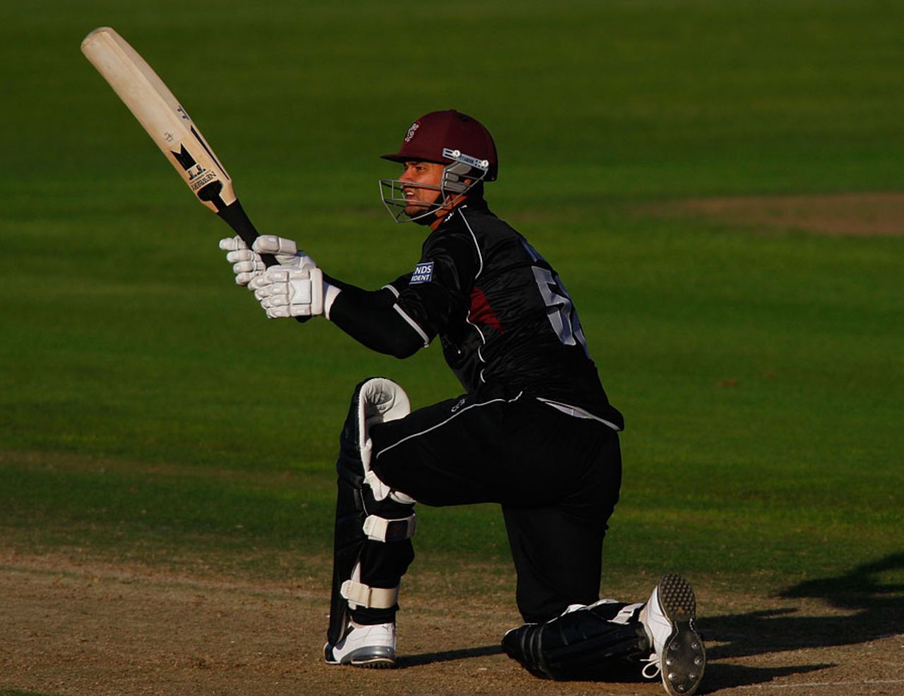 Zander de Bruyn hurried Somerset's victory with a quickfire 37, Gloucestershire v Somerset, Friends Provident t20, Bristol, July 16, 2010