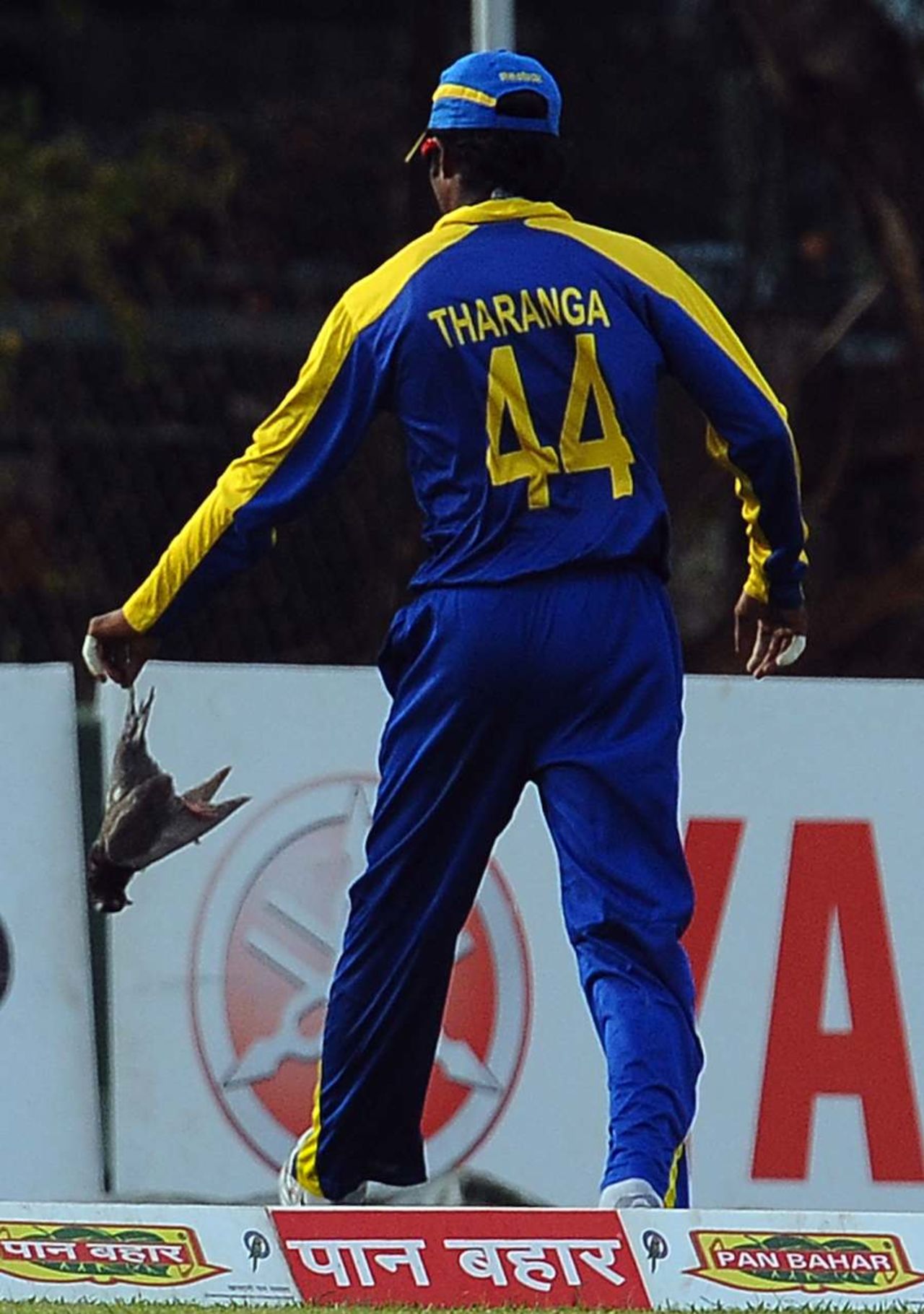 Upul Tharanga takes a dead bird off the field, Sri Lanka v New Zealand, tri-series, 2nd ODI, Dambulla, August 13, 2010