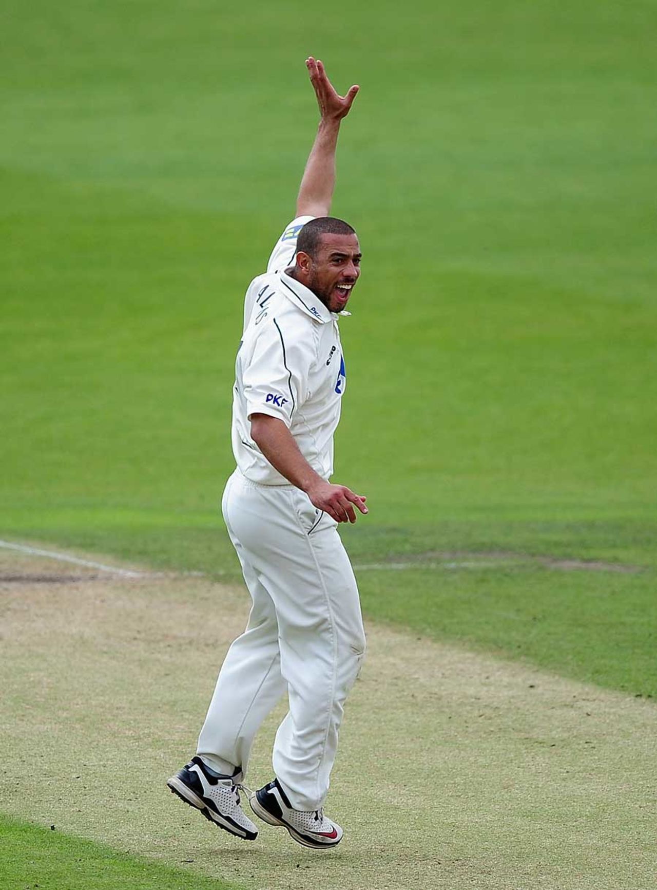 Andre Adams did the early damage to Warwickshire three wickets, Nottinghamshire v Warwickshire, County Championship, Division One, Trent Bridge, August 17, 2011