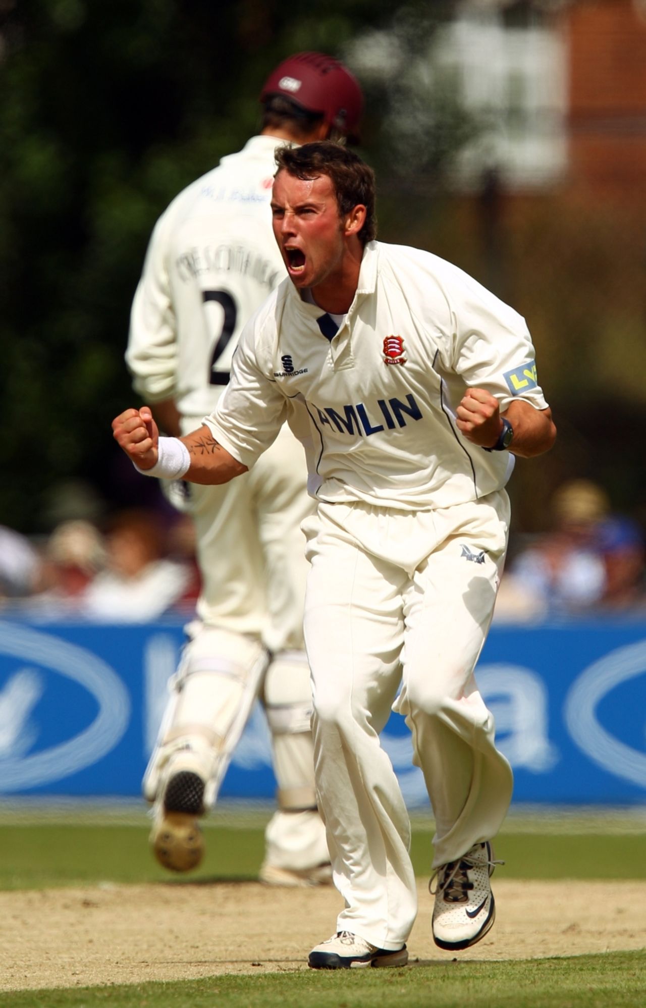 Tony Palladino was fired up when he removed Zander de Bruyn for his second wicket, Essex v Somerset, County Championship Division One, Colchester, August 19 2010