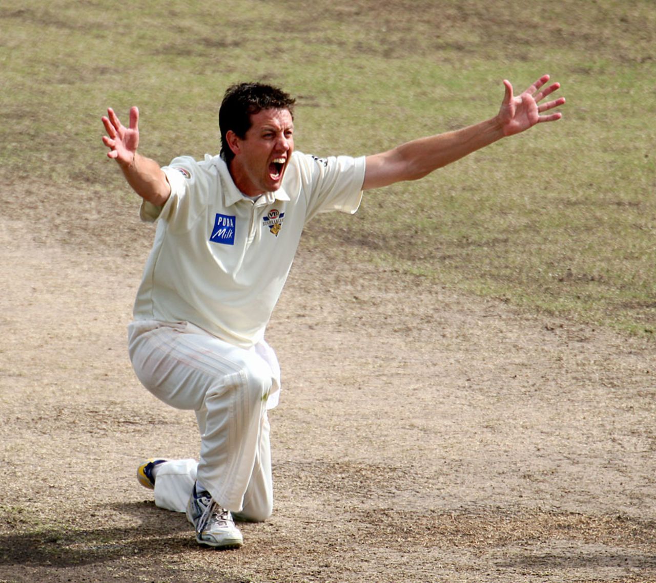 Bryce McGain appeals for a wicket, February 18, 2008