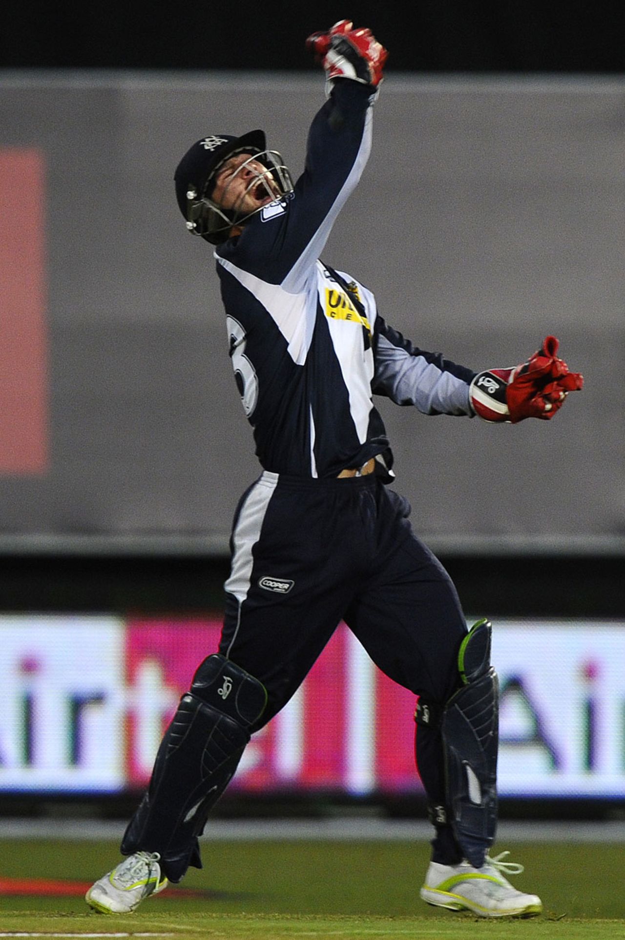 Matthew Wade is delighted after catching Ashwell Prince, Victoria v Warriors, Champions League Twenty20, Port Elizabeth, September 13, 2010