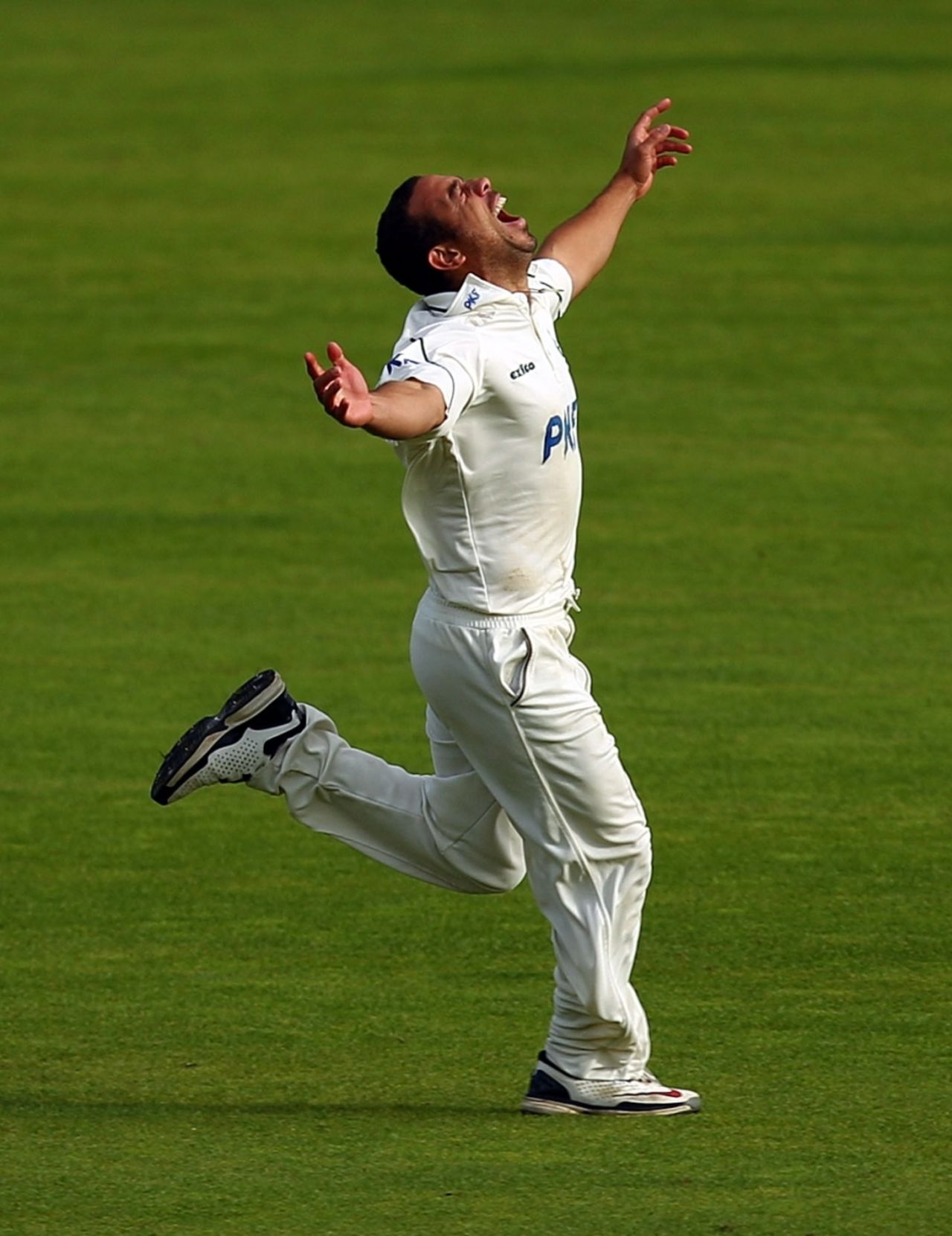 An ecstatic Andre Adams celebrates taking the wicket that secured the Championship for Nottinghamshire, Lancashire v Nottinghamshire, County Championship Division One, Old Trafford, September 16 2010