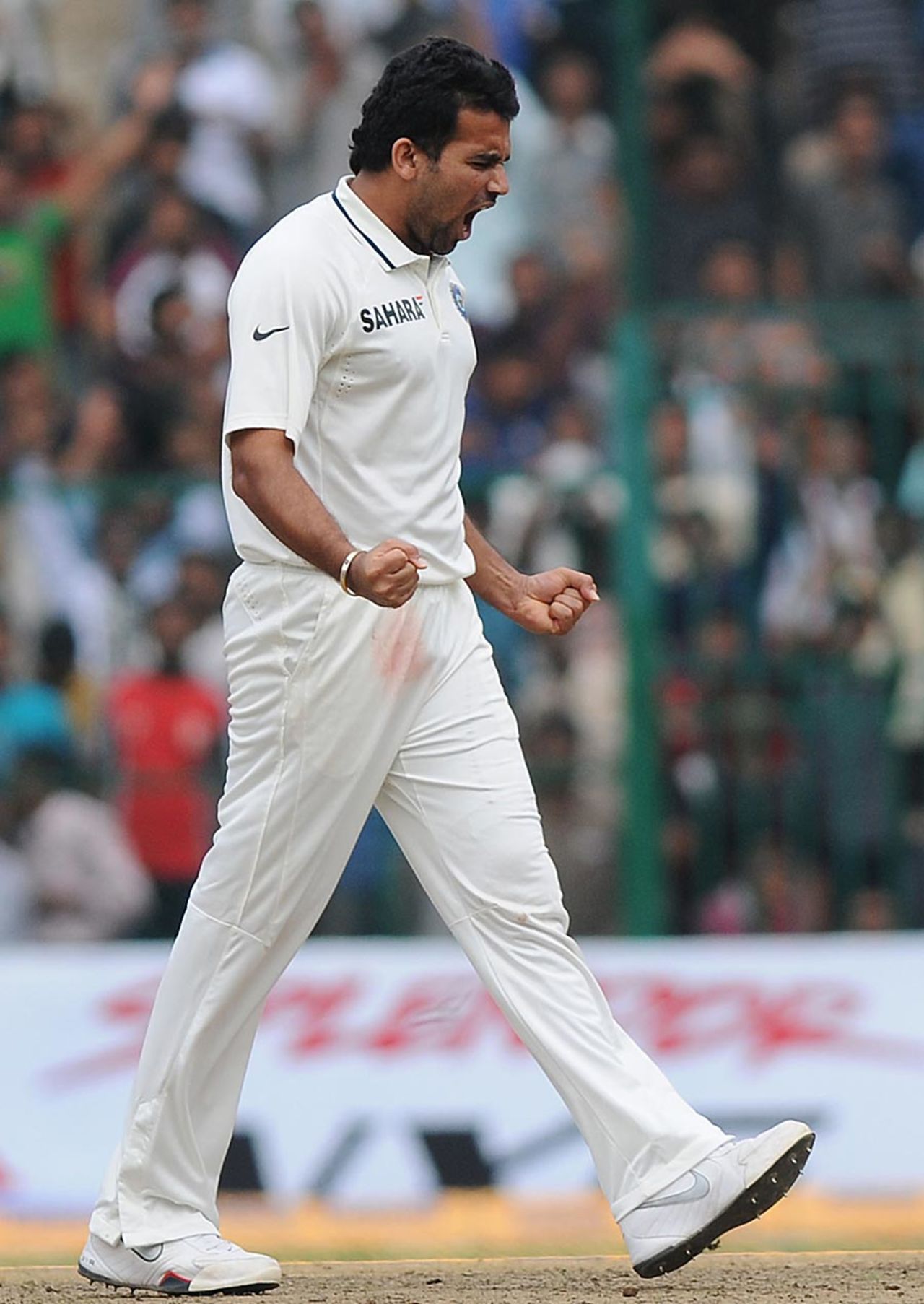 Zaheer Khan celebrates the fall of Ricky Ponting, India v Australia, 2nd Test, Bangalore, 4th day, October 12, 2010