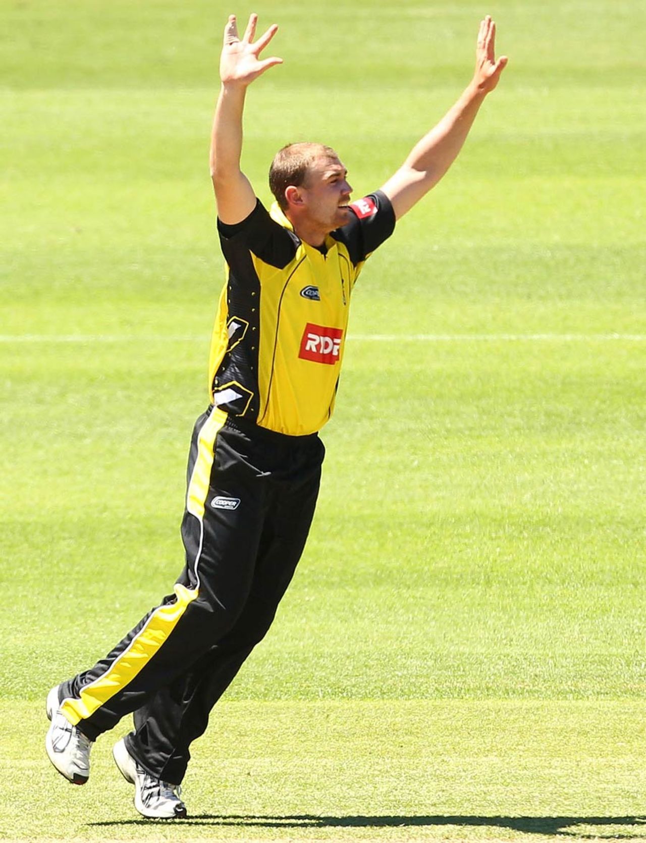 Ryan Duffield appeals for a wicket, New South Wales v Western Australia, Ryobi Cup, Hurstville Oval, Sydney, October 17, 2010
