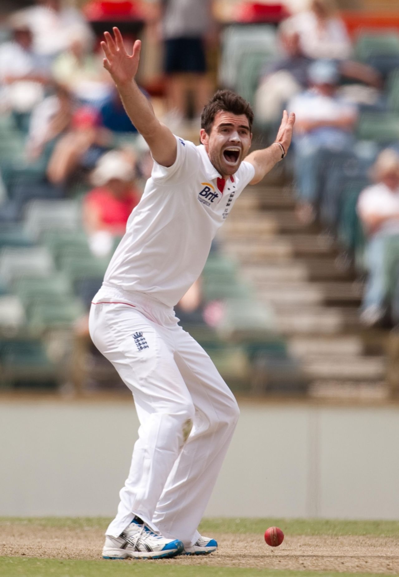 James Anderson launches an unsuccessful appeal for lbw on the first day of England's tour match, Western Australia v England XI, 1st day, Perth, November 5, 2010