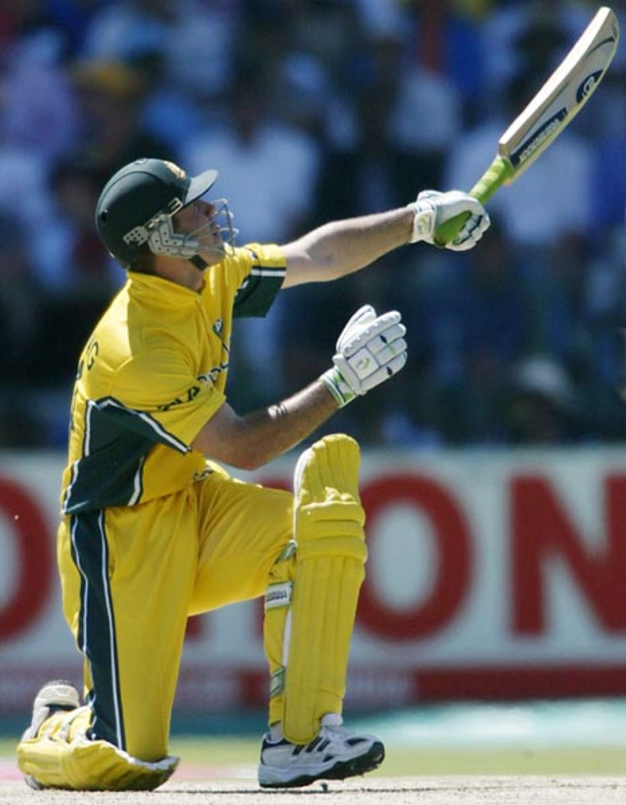 World Cup 2003, Final - Australia v India at Johannesburg, 23rd March 2003