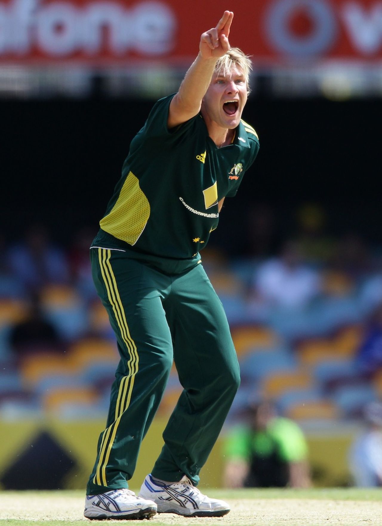 Shane Watson appeals for an lbw, Australia v Sri Lanka, 3rd ODI, Brisbane, November 7, 2010