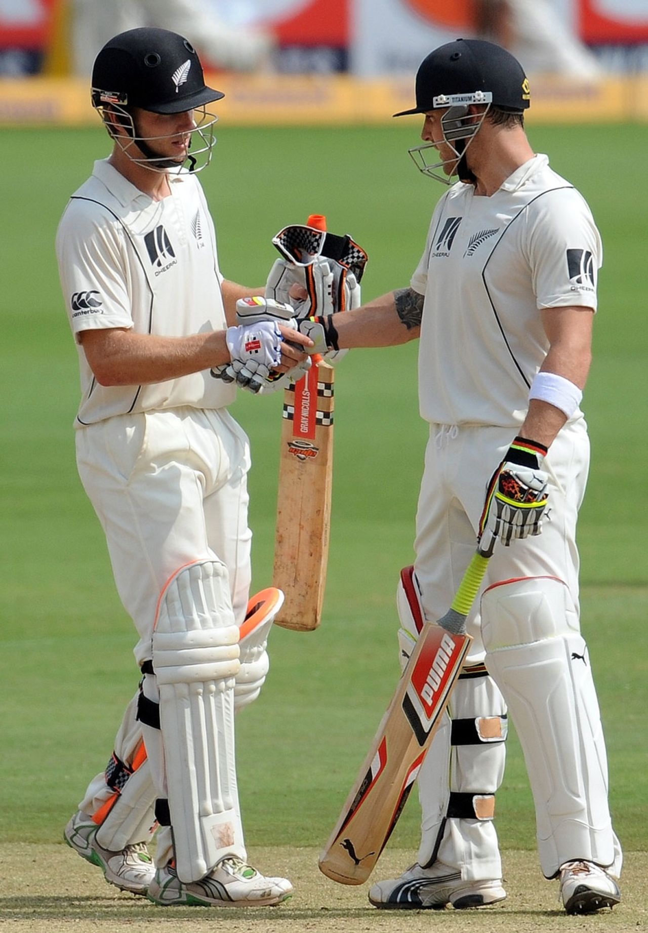 Kane Williamson congratulates Brendon McCullum on reaching 150, India v New Zealand, 2nd Test, Hyderabad, 5th day, November 16, 2010