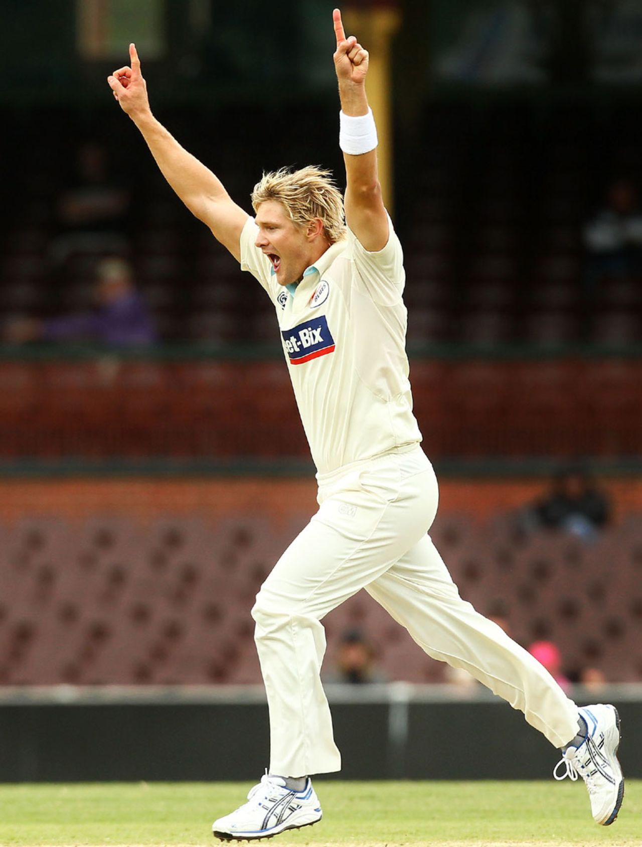 Shane Watson on the way to five wickets, New South Wales v Tasmania, Sydney, 3rd day, 19 November 2010