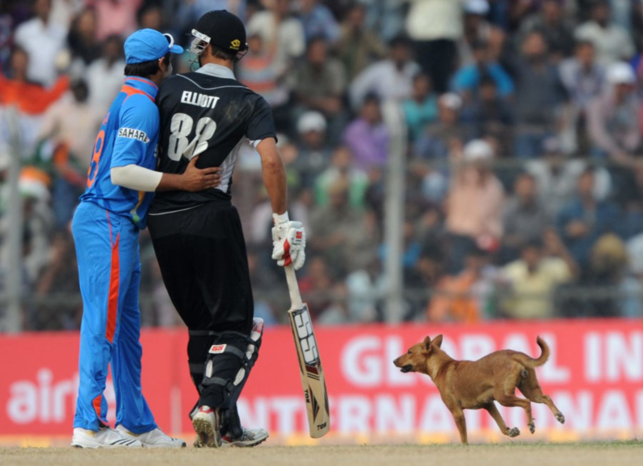 Suresh Raina and Grant Elliott watch a dog interrupt play, India v New Zealand, 1st ODI, Guwahati, November 28, 2010