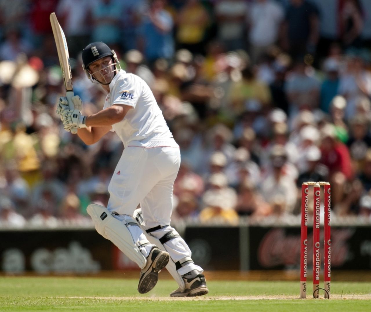 Jonathan Trott helped England recover from the early loss of Andrew Strauss, Australia v England, 2nd Test, Adelaide, 2nd day, December 4, 2010