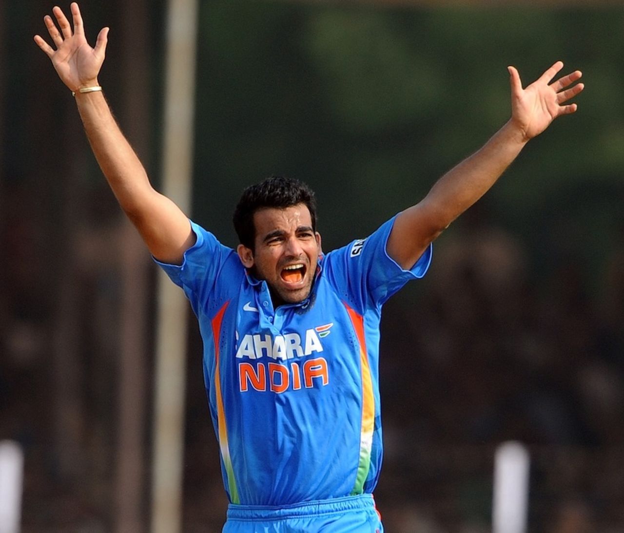 Zaheer Khan appeals for an lbw, India v New Zealand, 3rd ODI, Vadodara, December 4, 2010
