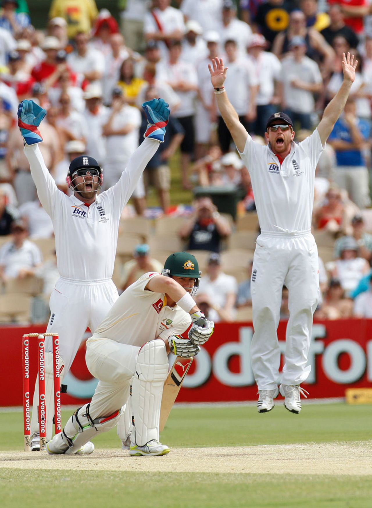 Marcus North prods forward and England appeal for lbw, Australia v England, 2nd Test, Adelaide, 5th day, December 7, 2010
