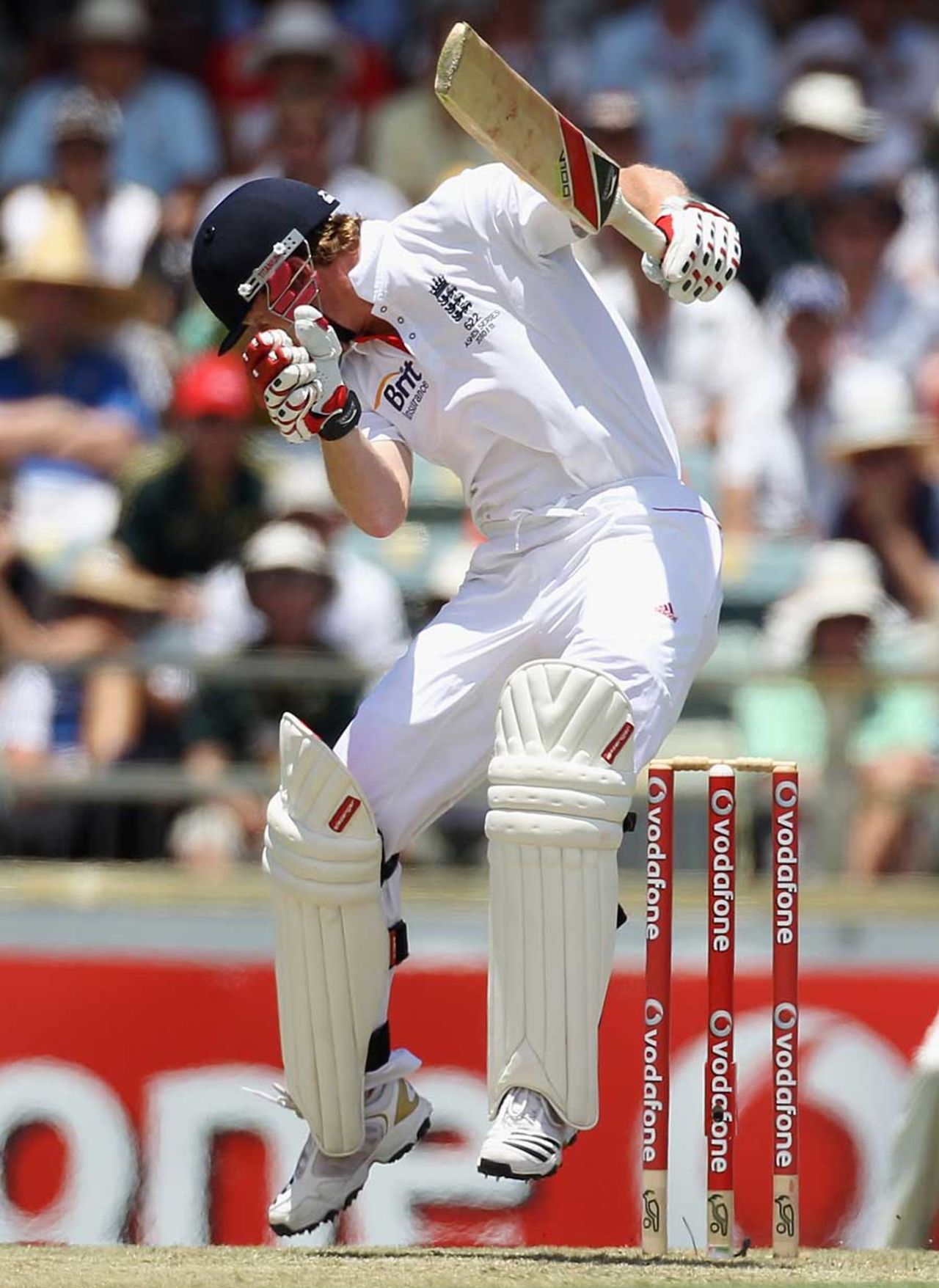 Paul Collingwood was given a working over by Mitchell Johnson, Australia v England, 3rd Test, Perth, 2nd day, December 17, 2010