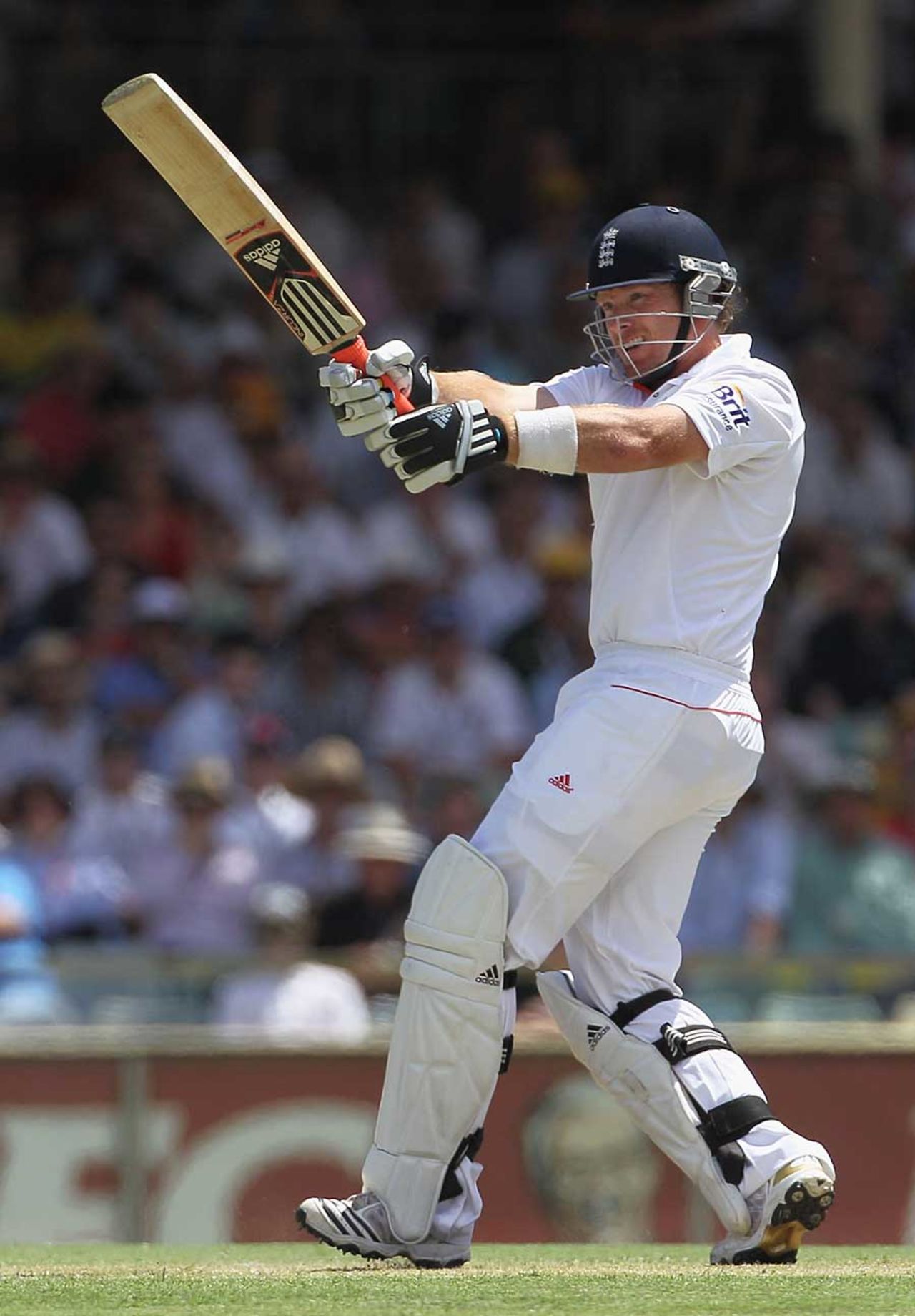 Ian Bell played superbly for his 53, Australia v England, 3rd Test, Perth, 2nd day, December 17, 2010