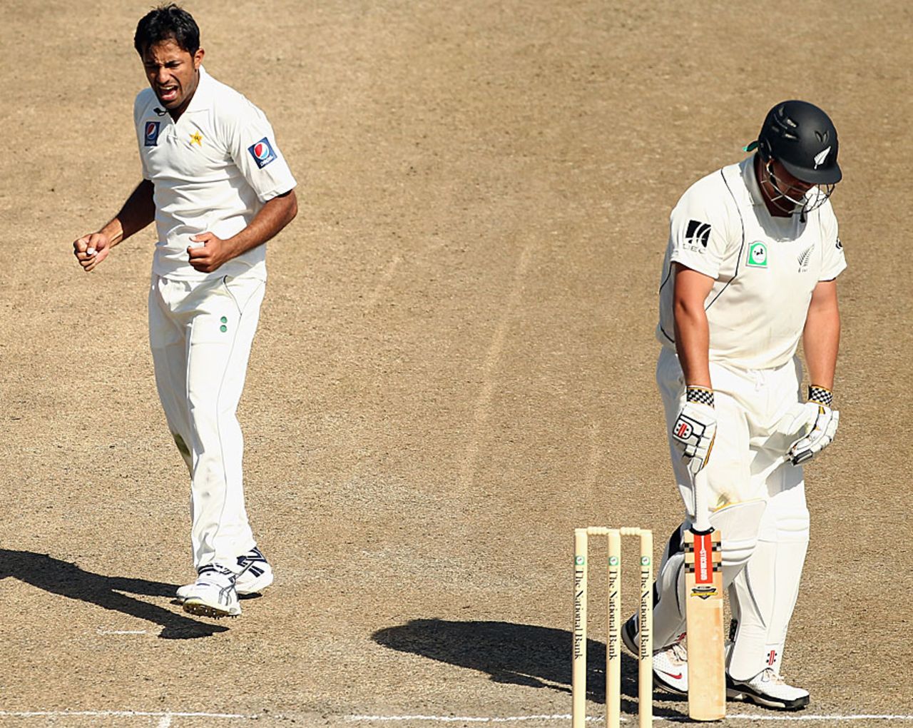 Wahab Riaz celebrates after trapping Jesse Ryder lbw, 1st Test, Hamilton, 3rd day, January 9, 2011