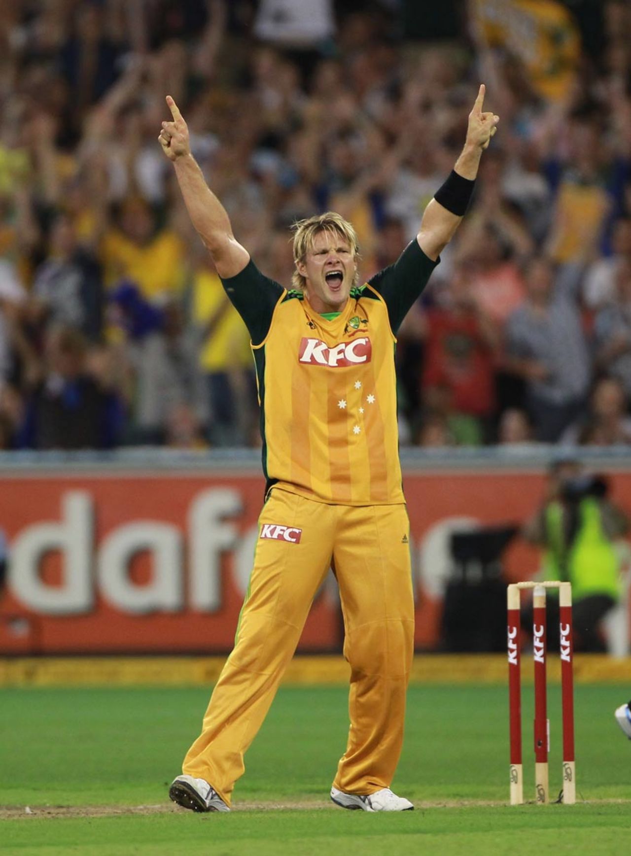 Shane Watson claimed 2 for 17 in his four overs, Australia v England, 2nd Twenty20, Melbourne, January 14, 2011