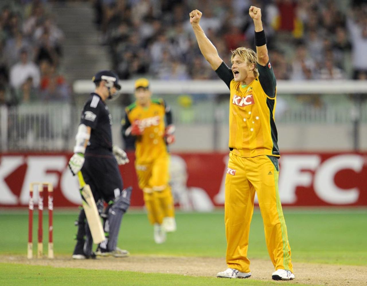 Shane Watson claimed the wicket of Steven Davies to keep England under the cosh, Australia v England, 2nd Twenty20, Melbourne, January 14, 2011