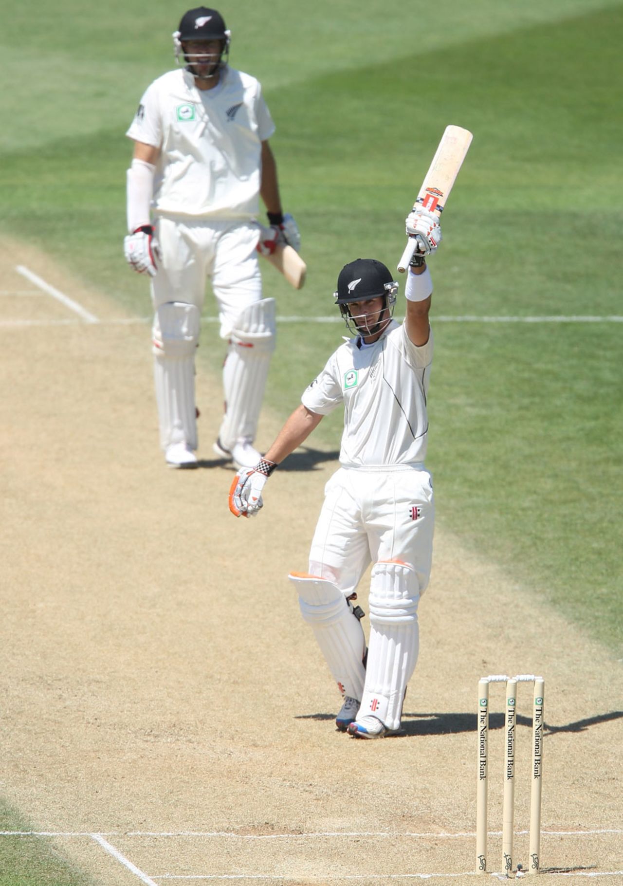 Daniel Vettori watches as Reece Young brings up his half-century, New Zealand v Pakistan, 2nd Test, Wellington, 2nd day, January 16, 2011
