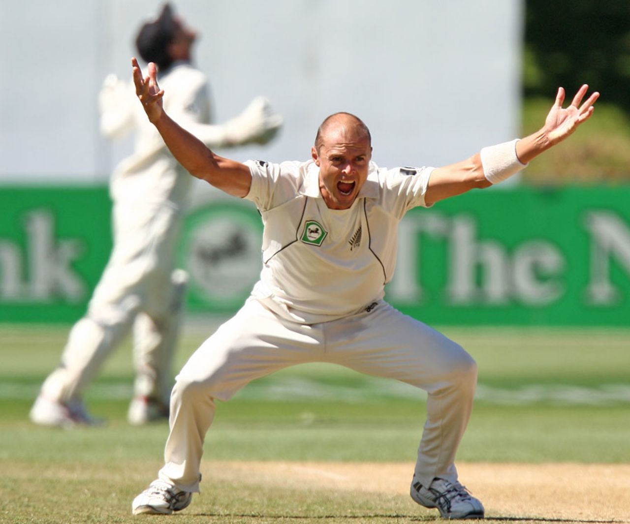 Chris Martin lets out a huge appeal, New Zealand v Pakistan, 2nd Test, Wellington, 5th day, January 19, 2011