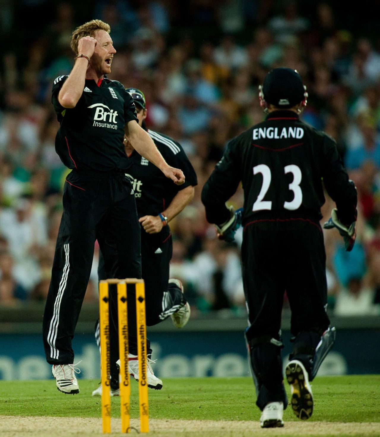 Paul Collingwood celebrates a wicket, Australia v England, 3rd ODI, Sydney, January 23, 2011