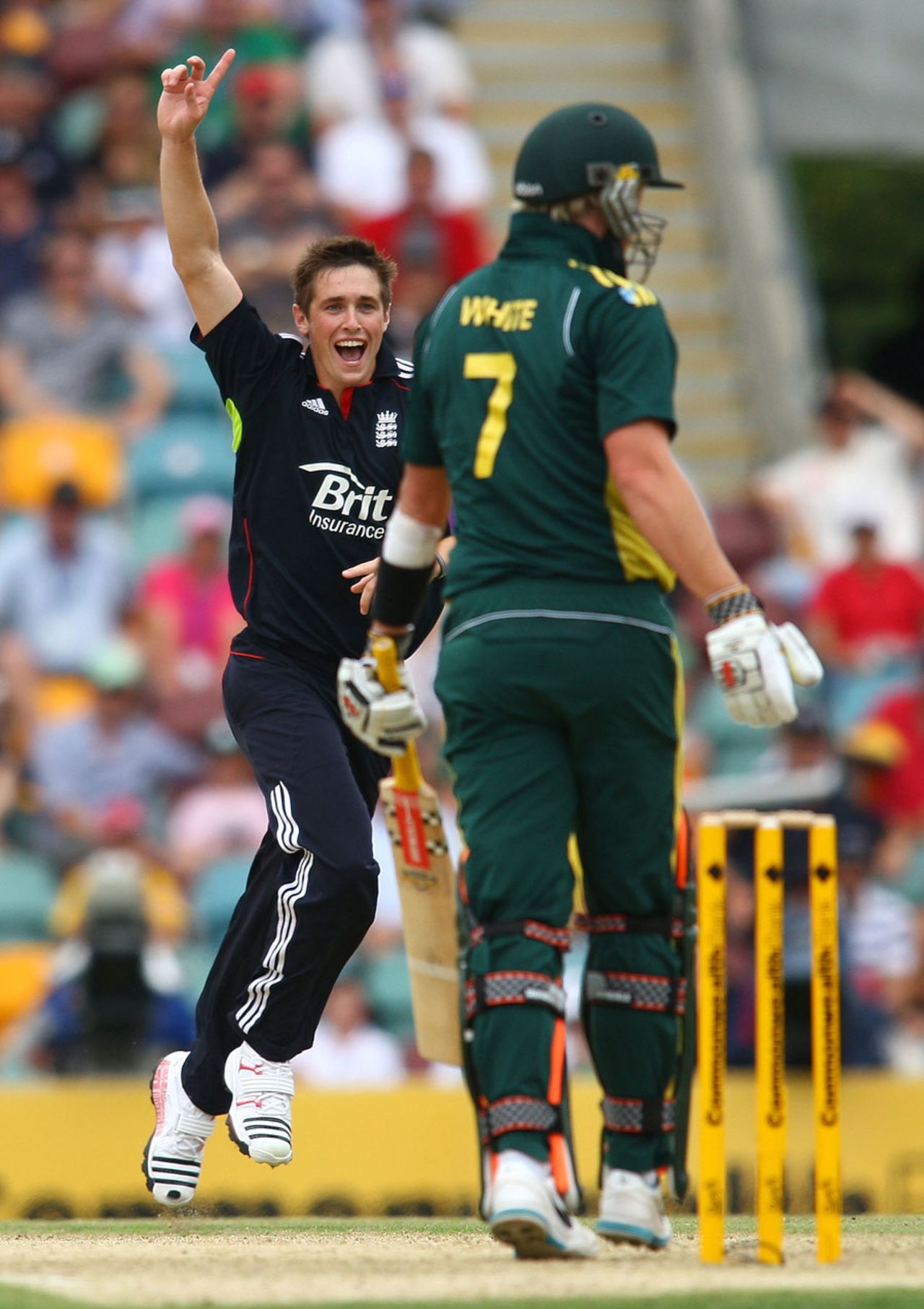 Chris Woakes celebrates removing Cameron White, Australia v England, 5th ODI, Brisbane, January 30, 2011