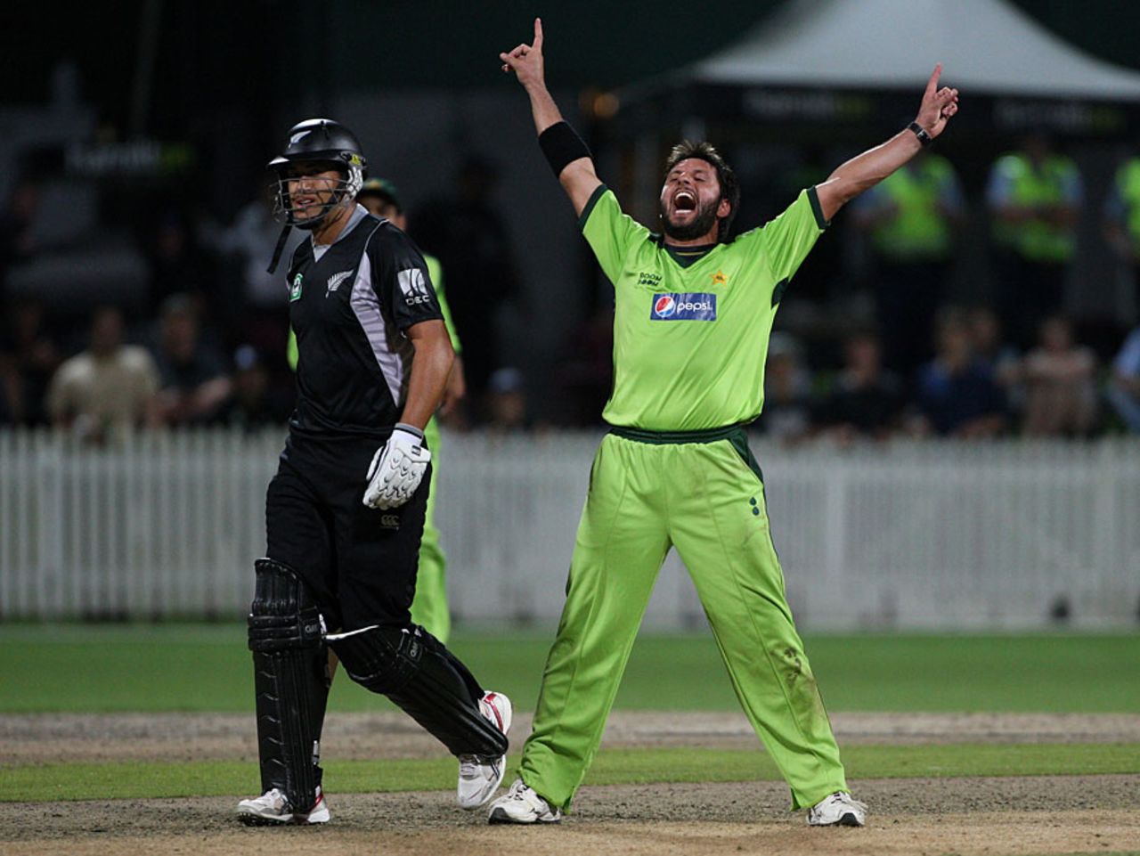 Shahid Afridi claimed the key scalp of Ross Taylor, New Zealand v Pakistan, 5th ODI, Hamilton, February 3, 2011