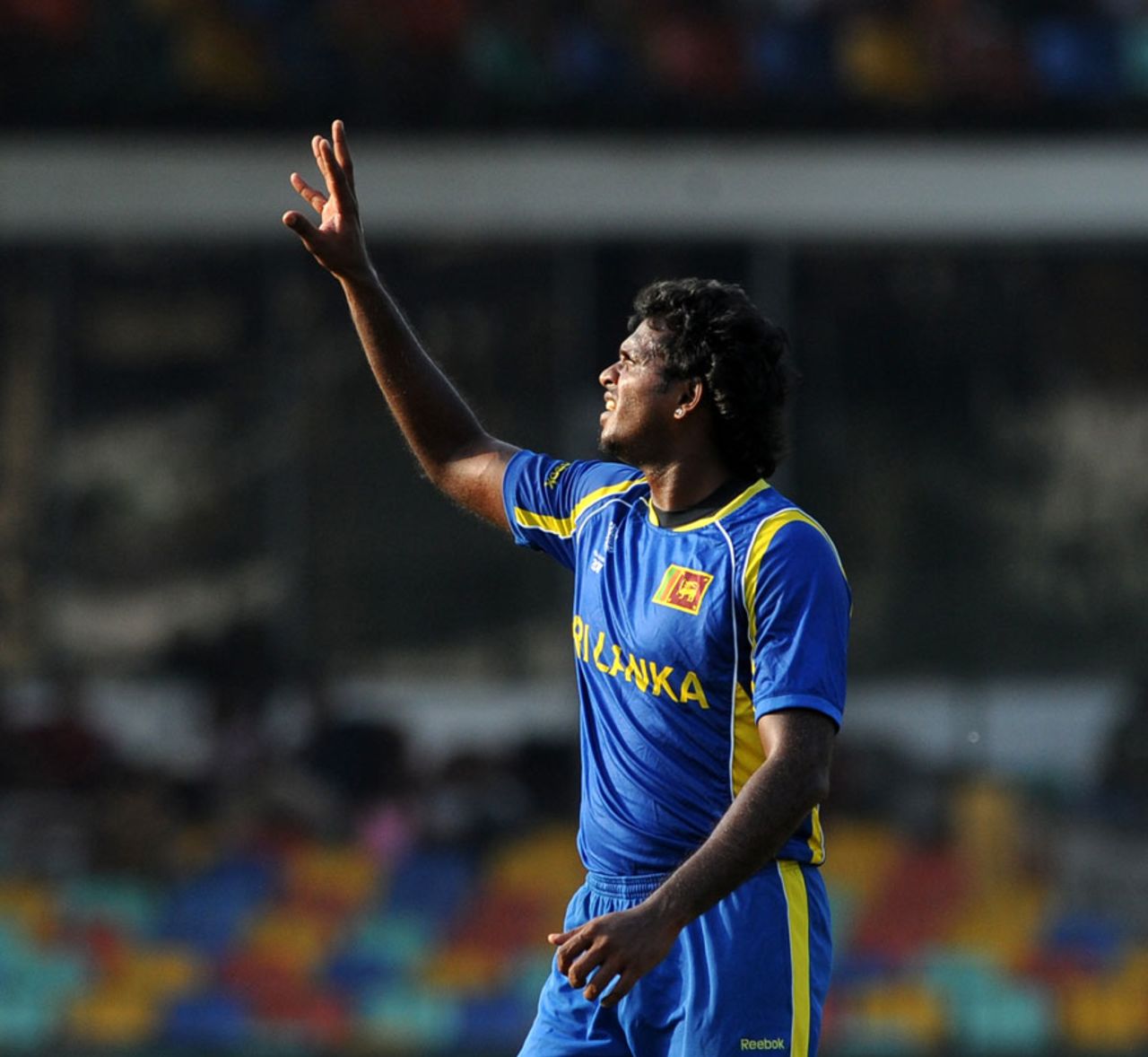 Dilhara Fernando picked up four wickets in Sri Lanka's win, Sri Lanka v Netherlands World Cup warm-up match, Colombo, February 12, 2011