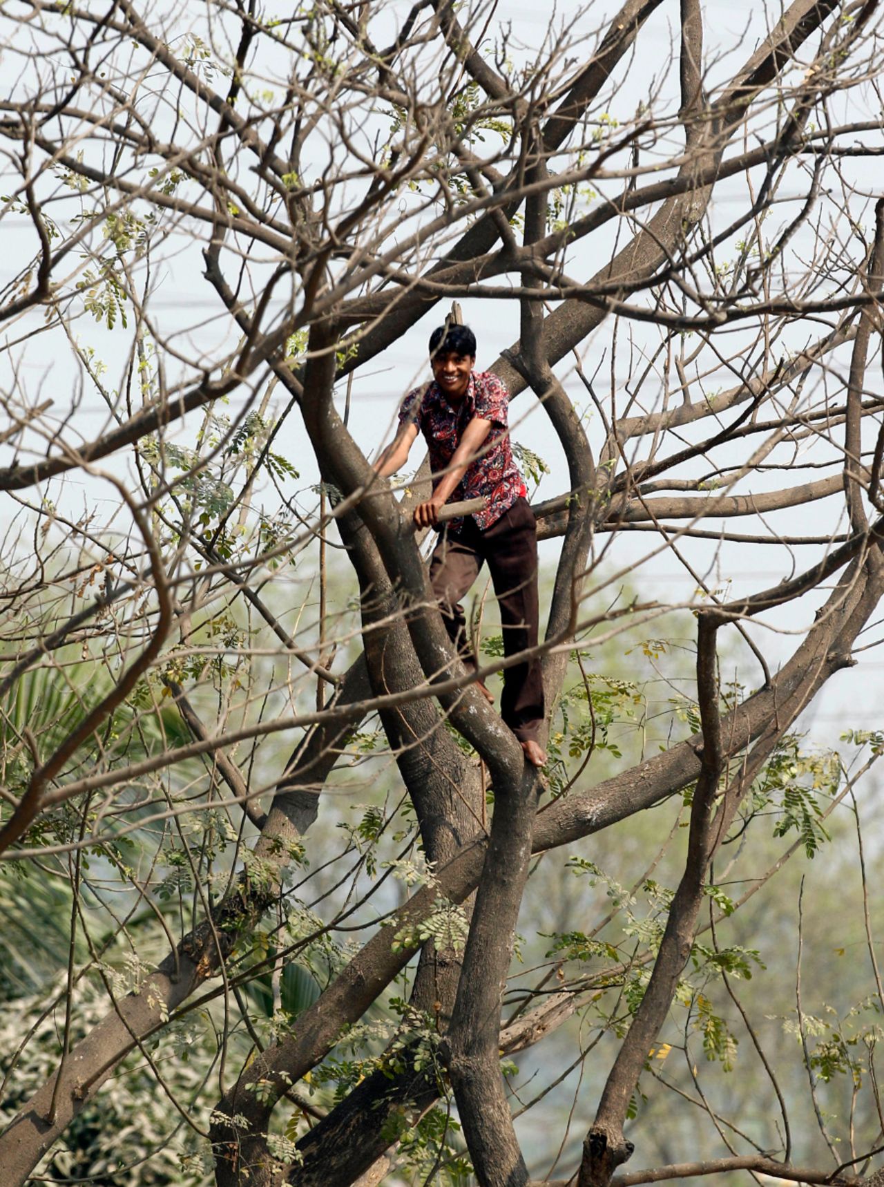 A Bangladeshi cricket fan climbs a tree to get a better look at England's warm-up game, Canada v England, World Cup warm-up match, Fatullah, February 16, 2011