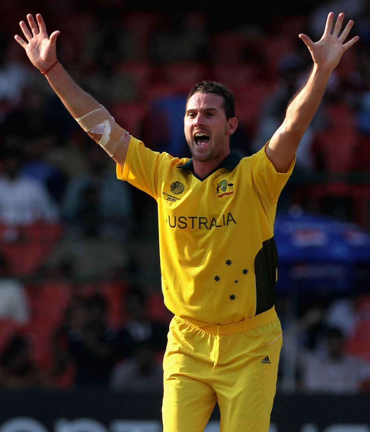Shaun Tait appeals against Canada, Australia v Canada, Group A, World Cup, Bangalore, March 16, 2011