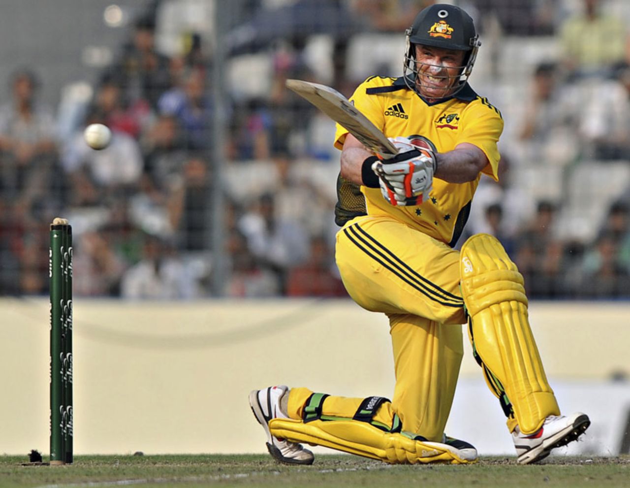 Michael Hussey slog sweeps during his knock of 108 from 91 balls, Bangladesh v Australia, 3rd ODI, Mirpur, April 13, 2011