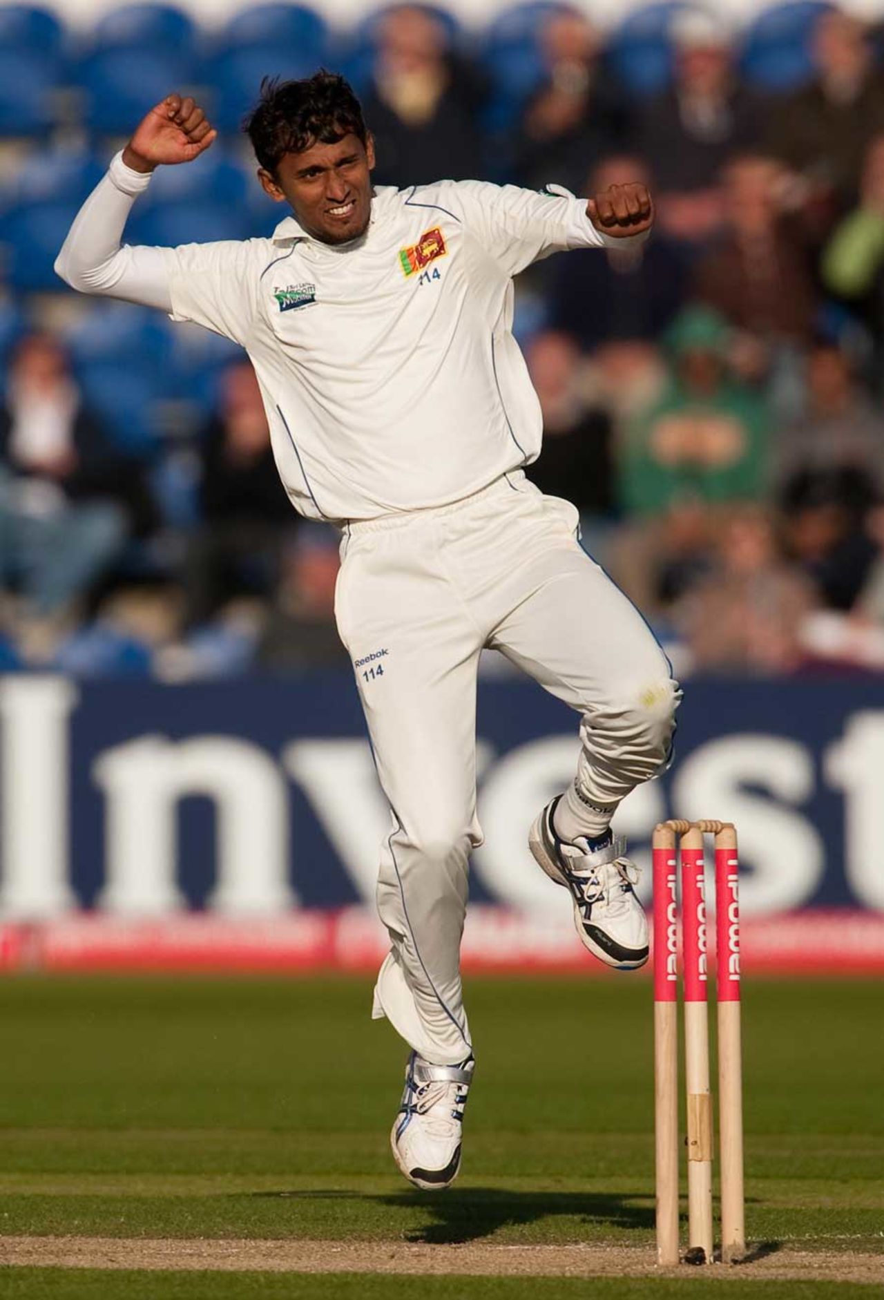 Suranga Lakmal celebrates claiming to scalp of Andrew Strauss, England v Sri Lanka, 1st Test, Cardiff, 2nd day, May 27 2011