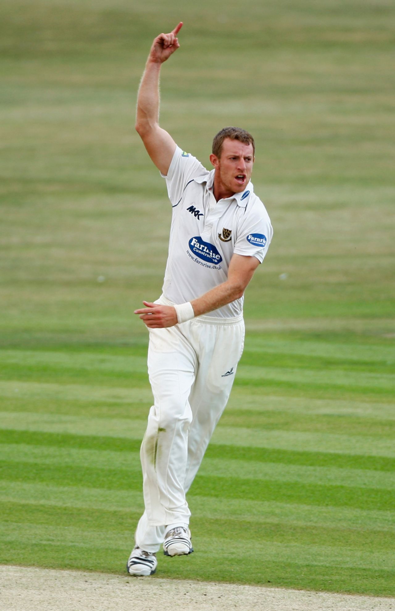 James Anyon celebrates a wicket against Hampshire, Sussex v Hampshire, County Championship Division One, Hove, July 11 2011
