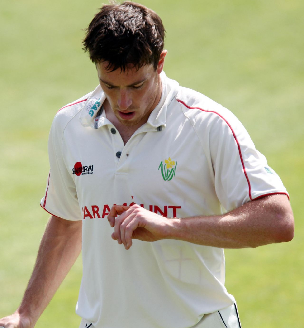 Will Owen checks the damage on his injured finger, Glamorgan v Essex, County Championship, Division Two, Cardiff, August 3, 2011