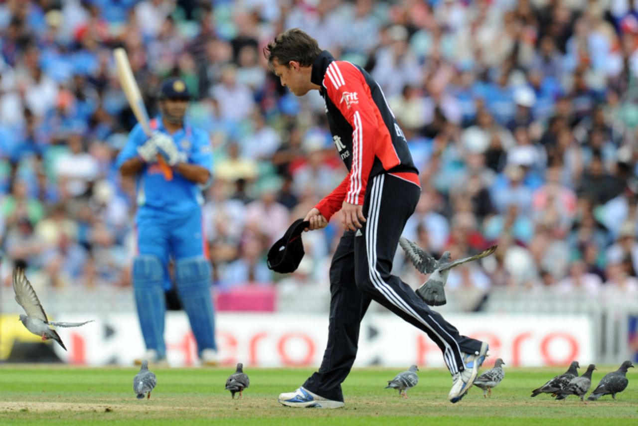 Graeme Swann attempts to scare pigeons off the outfield at The Oval, England v India, 3rd ODI, The Oval, September 9 2011