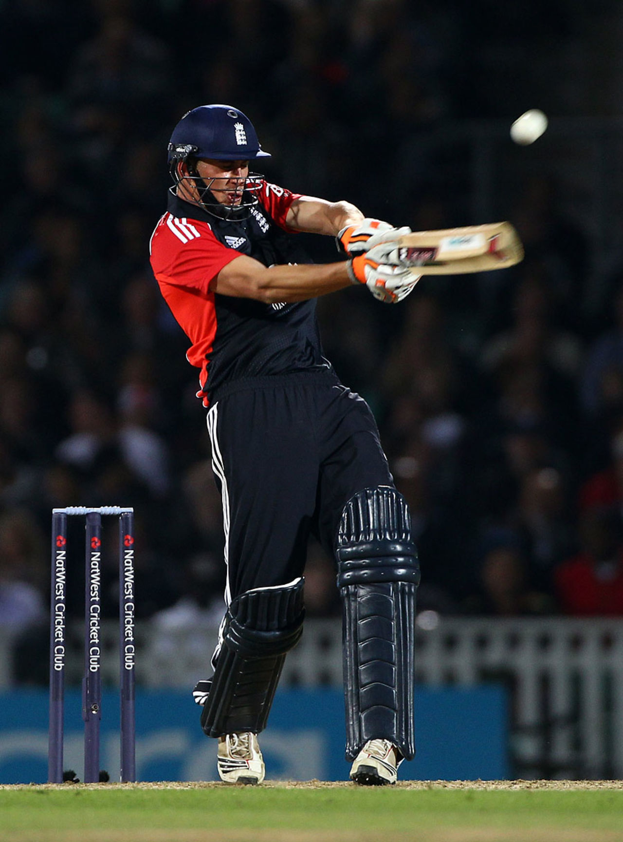 Alex Hales was soon into his stride during the run chase, England v West Indies, 1st Twenty20, The Oval, September 23, 2011
