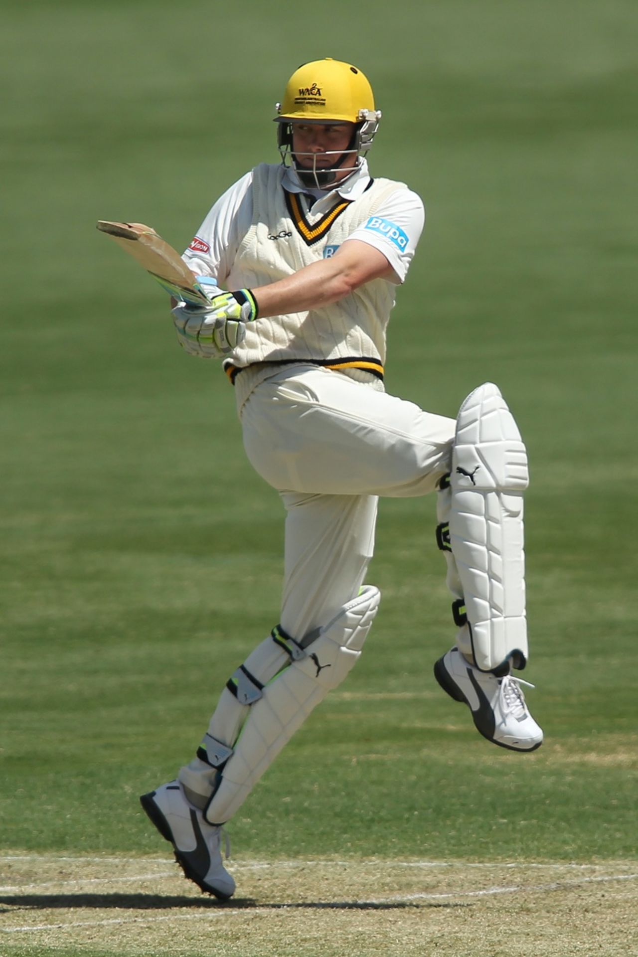 Marcus North pulls during his century, South Australia v Western Australia, Sheffield Shield, Adelaide, 1st day, October 25, 2011
