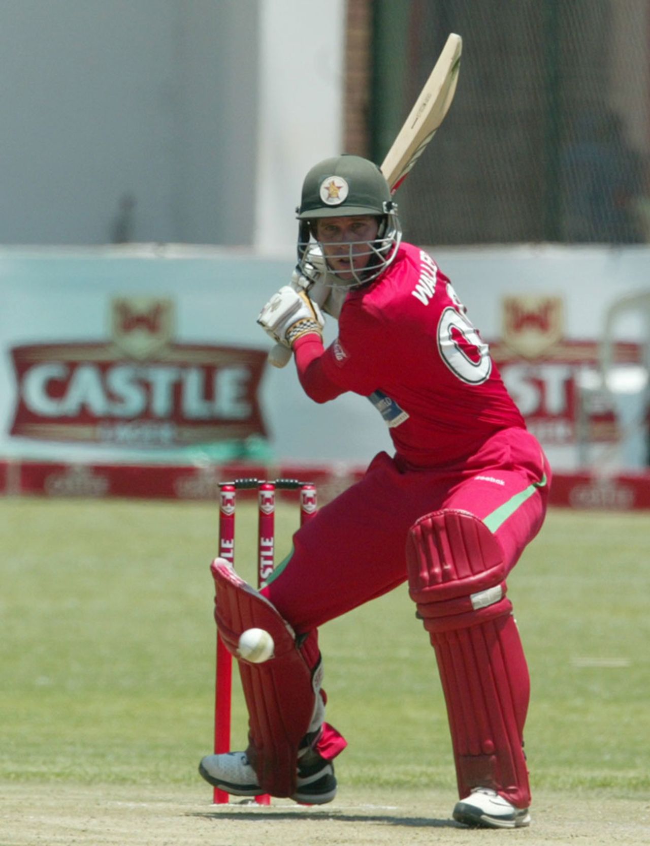 Malcolm Waller winds up for a big hit, Zimbabwe v New Zealand, 2nd ODI, Harare, October 22, 2011 