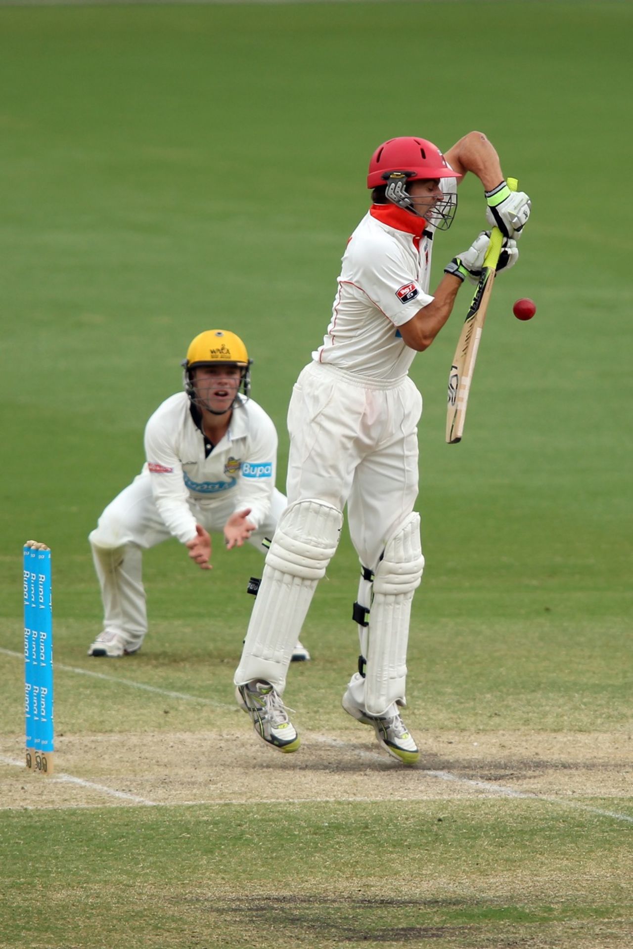 Cullen Bailey defends on the back foot, South Australia v Western Australia, Sheffield Shield, day four, Adelaide, October 28 2011