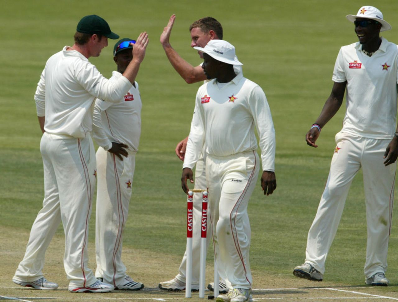 Zimbabwe celebrate the run-out of Kane Williamson, Zimbabwe v New Zealand, only Test, Bulawayo, 1st day, November 1, 2011