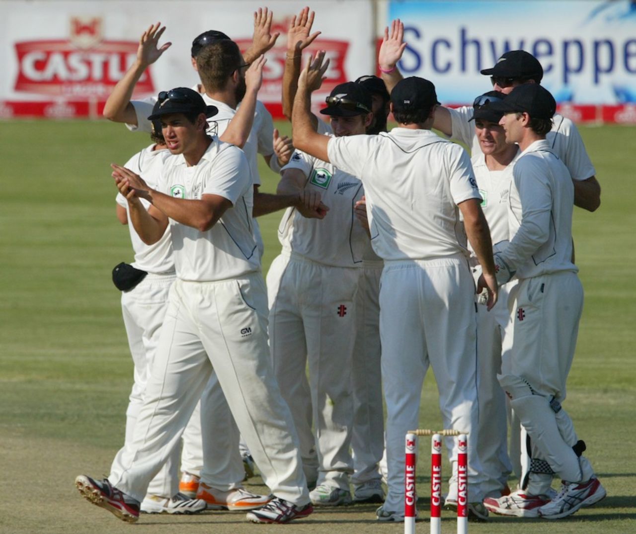 New Zealand celebrate Tino Mawoyo's wicket, Zimbabwe v New Zealand, only Test, Bulawayo, 2nd day, November 2, 2011