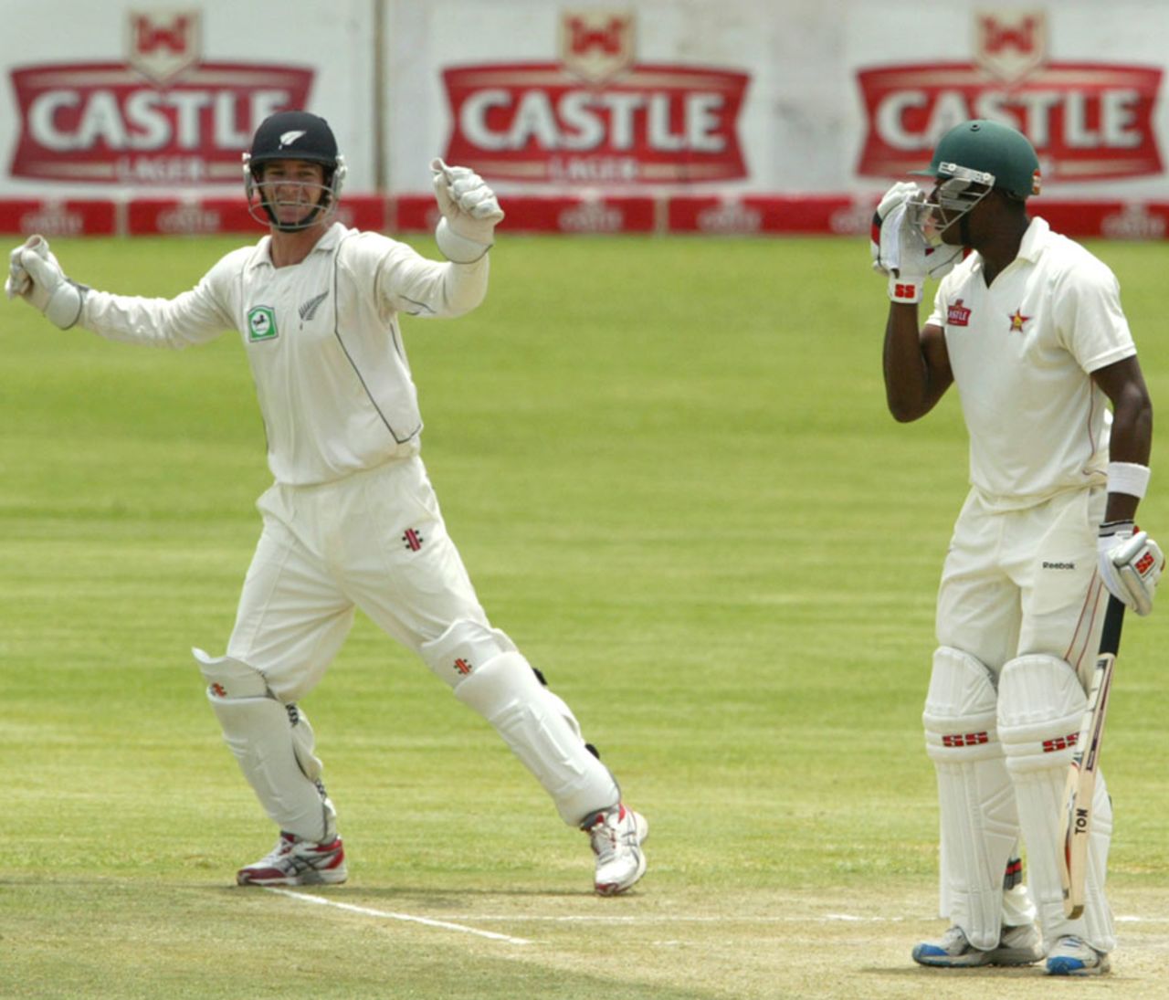 Reece Young celebrates the wicket of Vusi Sibanda, Zimbabwe v New Zealand, only Test, Bulawayo, 3rd day, November 3, 2011