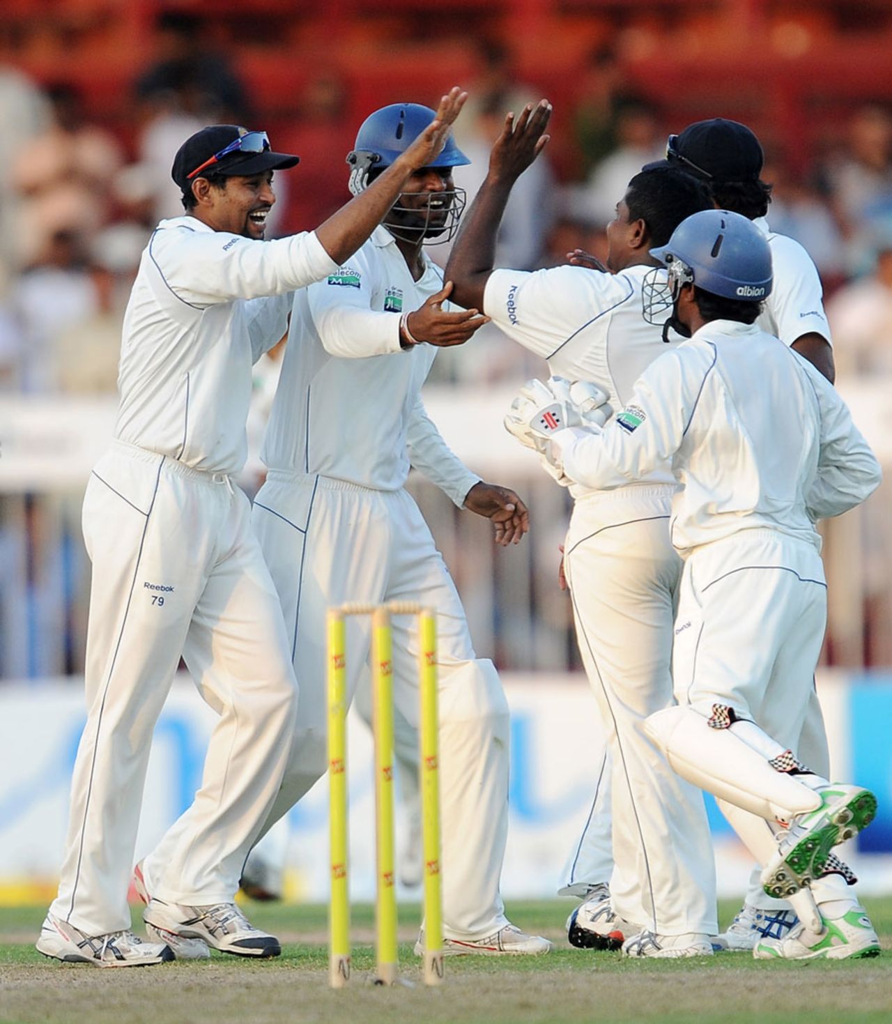 Sri Lanka celebrate a wicket, Pakistan v Sri Lanka, 3rd Test, Sharjah, 2nd day, November 4, 2011