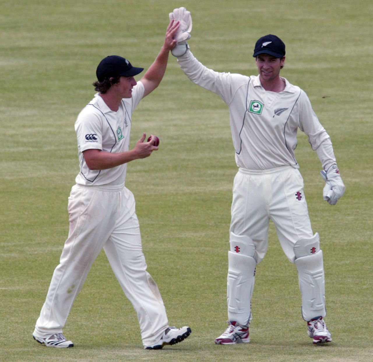 BJ Watling and Reece Young high-five after they think they have dismissed Brendan Taylor, Zimbabwe v New Zealand, only Test, Bulawayo, 5th day, November 5, 2011