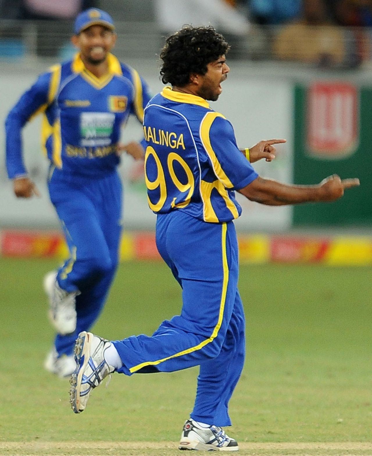 Lasith Malinga is fired up after dismissing Mohammad Hafeez, Pakistan v Sri Lanka, 2nd ODI, Dubai, November 14, 2011 